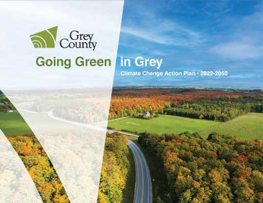 cover of Going Green in Grey