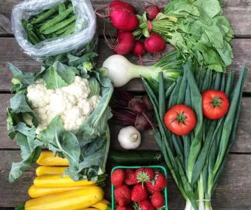 Counties offer training and networking sessions for agri-food entrepreneurs