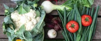 Counties offer training and networking sessions for agri-food entrepreneurs
