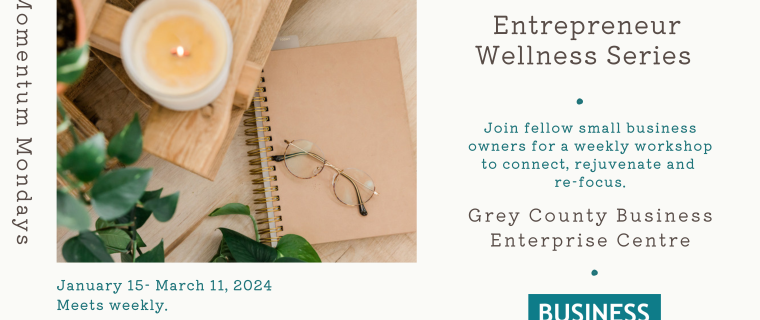 Entrepreneur Wellness Series